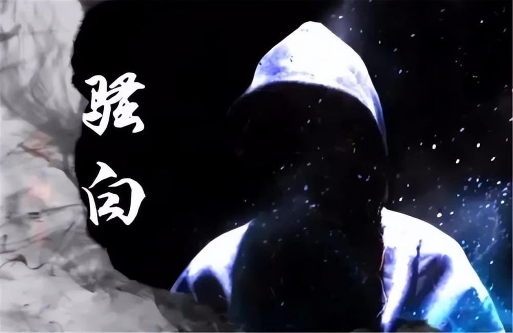 人间清醒骚白,与斗鱼完美合作互相祝福,游子回乡得快手观众支持_腾讯