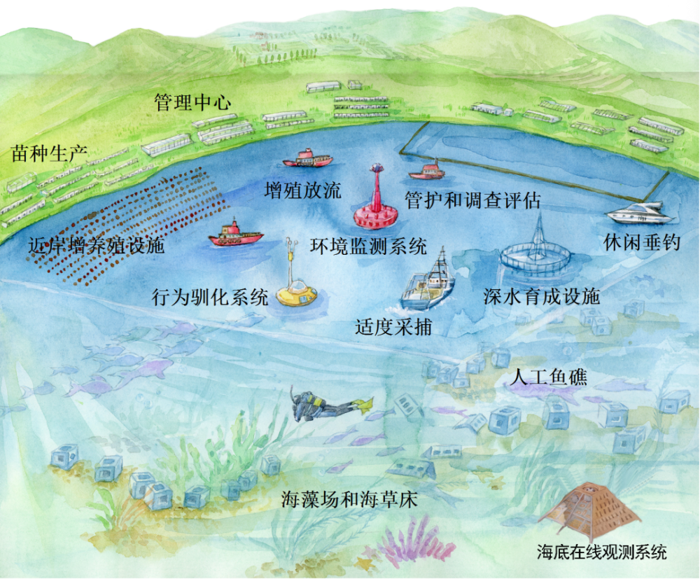 被称为蓝色粮仓的海洋牧场