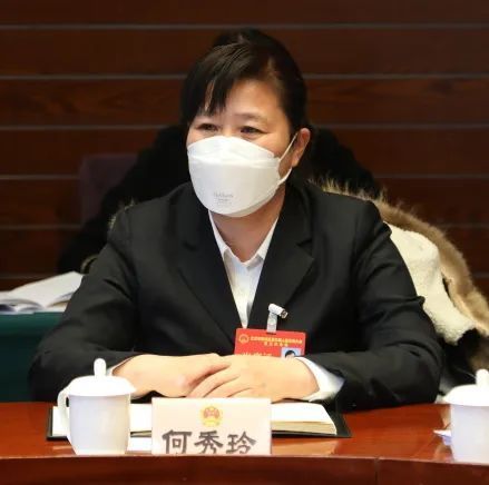 区人大代表何秀玲河南寨镇套里村党支部书记,村委会主任聆听了马区长