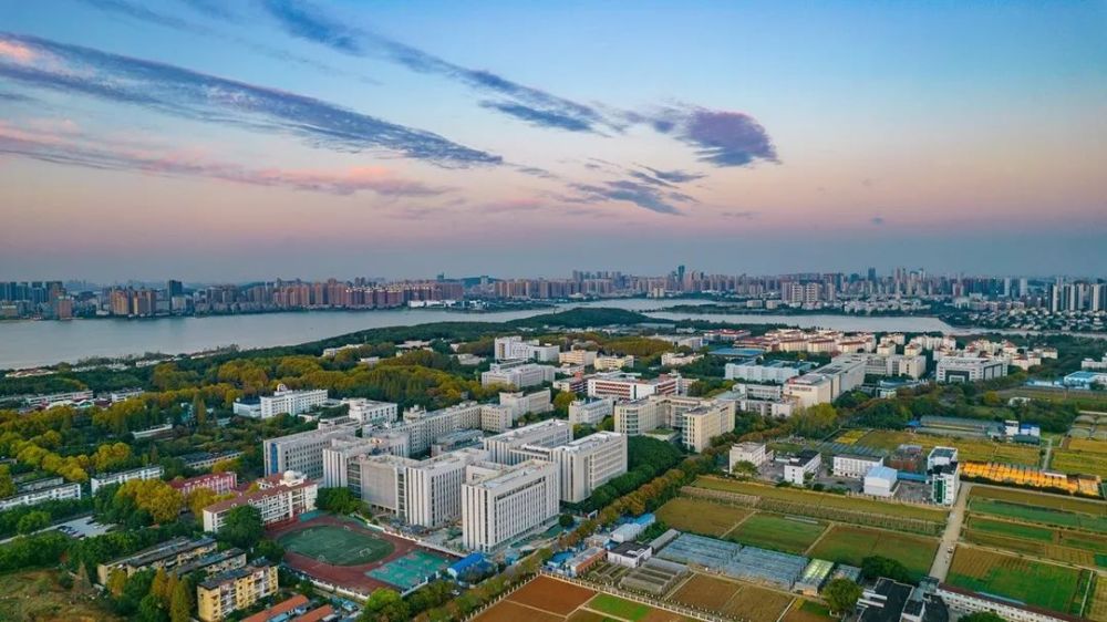 华中农业大学发布2023年国家优秀青年科学基金海外项目