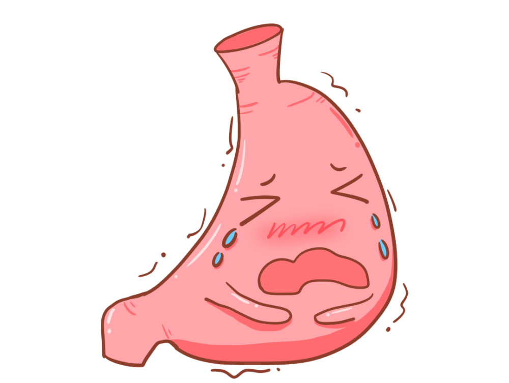 胃越撑越大,越饿越小?你不了解的真相是……_腾讯新闻