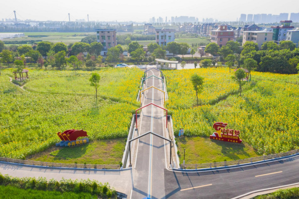 錢塘區運河街道新宇村5崇賢街道鴨蘭村4塘棲鎮丁河村3運河街道雙橋村2