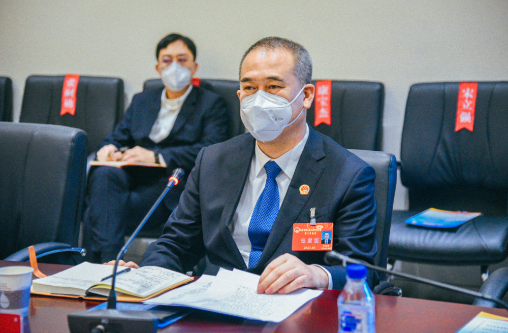 王雪峰参加人大代表团分组审议