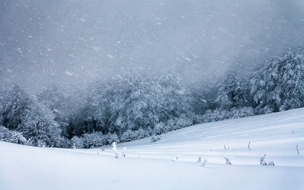 辽宁将出现雨雪大风降温天气东部地区有中雪局部大雪