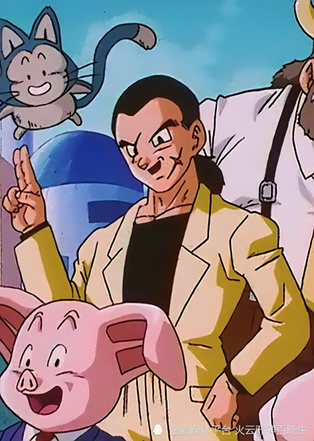 鸟山明:我是如何做一名合格的猫奴的!