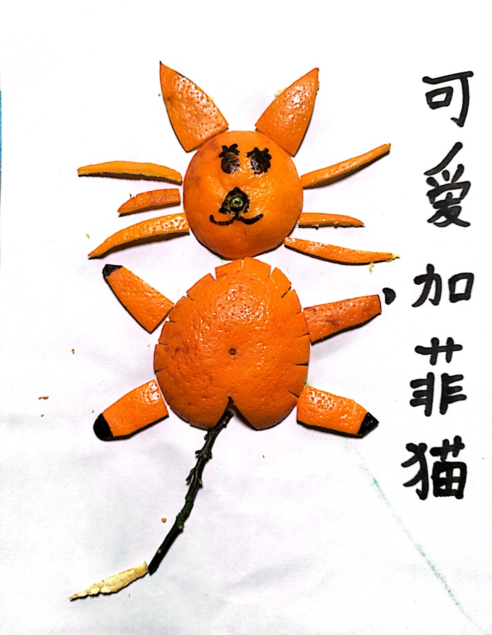 奔流少年美术室丨果皮创意画