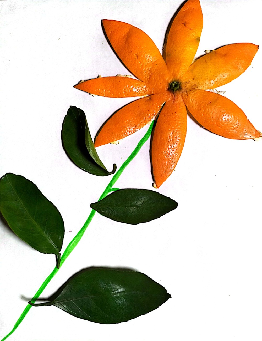 奔流少年·美术室丨果皮创意画_腾讯新闻