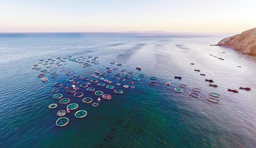 经略海洋突破5000亿海洋经济潮头正劲