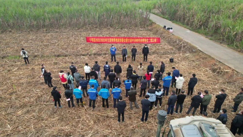 【服务三农】宁明县明江镇召开甘蔗榨季推进部署会暨甘蔗叶回收作业