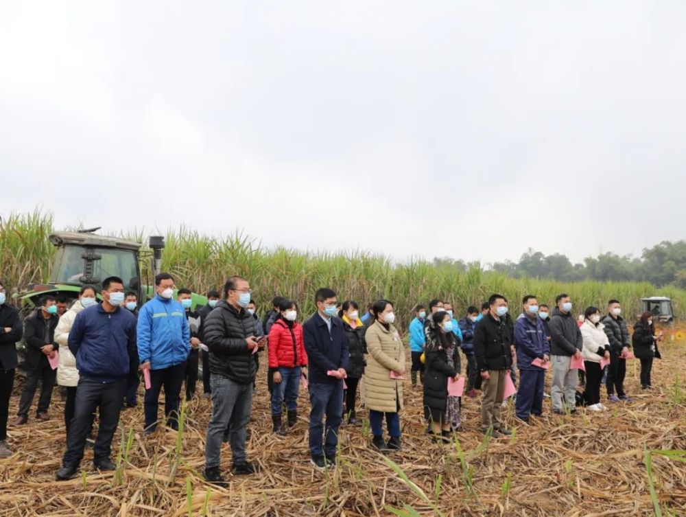 【服务三农】宁明县明江镇召开甘蔗榨季推进部署会暨甘蔗叶回收作业