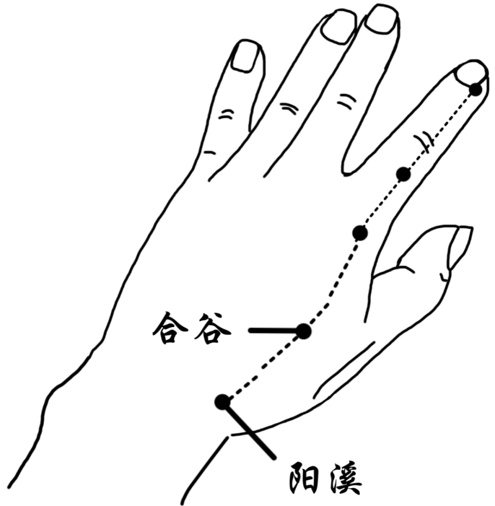 ▼惡寒發熱,咽喉腫痛:可按方法按摩少商,魚際,尺澤等穴位.