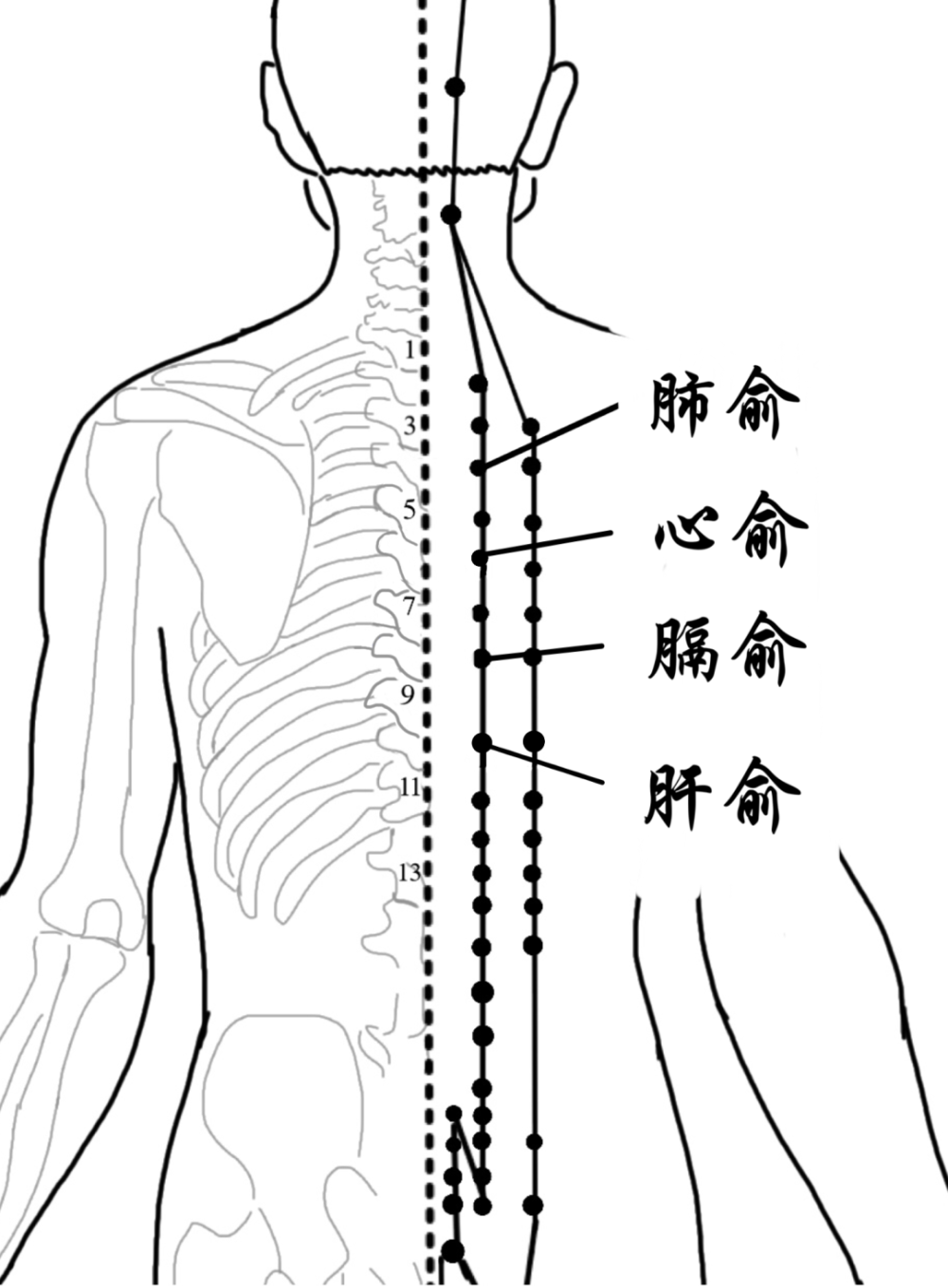 心脏不好艾灸位置图图片