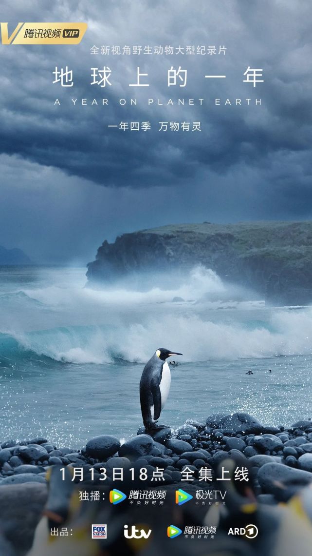 地球纪录片 腾讯网