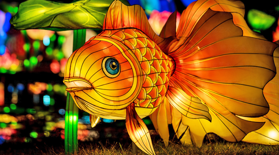 金鱼之乐_腾讯新闻