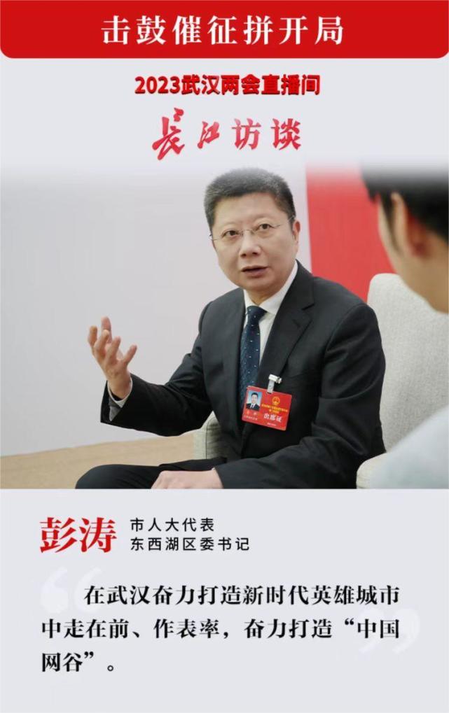 市人大代表,东西湖区委书记彭涛:全力建设宜居宜业宜游的"中国网谷"