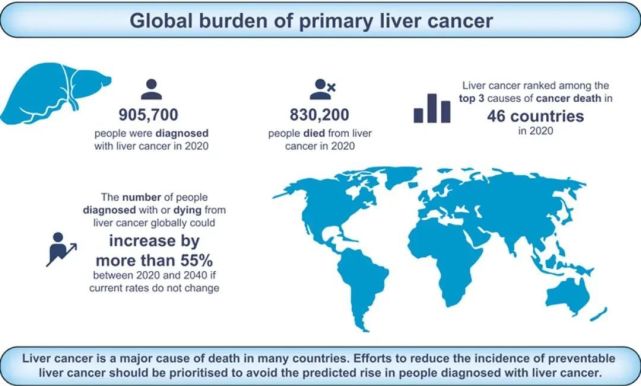 【Hepatology】增加55％以上！世界卫生组织发布18年后全球肝癌确诊及死亡人数大预测_腾讯新闻