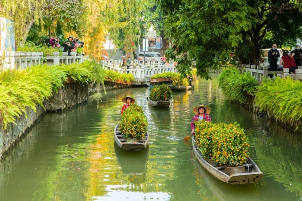 岭南年味在陈村第39届陈村迎春花市即将启动邀请广大市民游十里花街