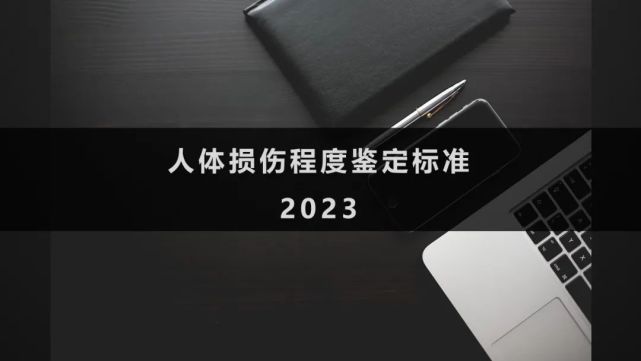 【2023版】人體損傷程度鑑定標準(傷情鑑定標準)