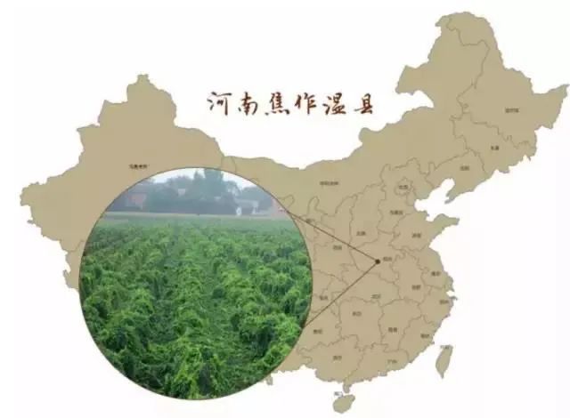 这个范围就是河南省焦作温县行政辖区种出来的山药才能称得上是铁棍