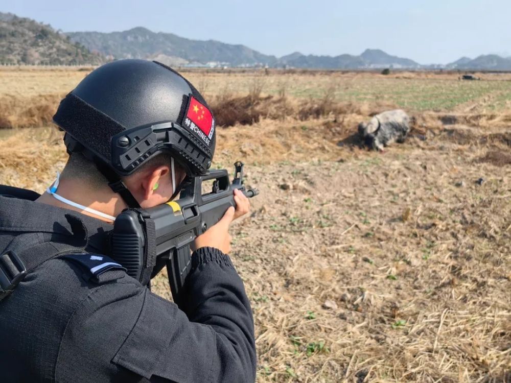 特警枪枪击案图片