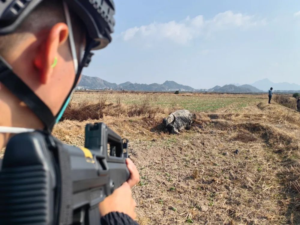 特警枪枪击案图片