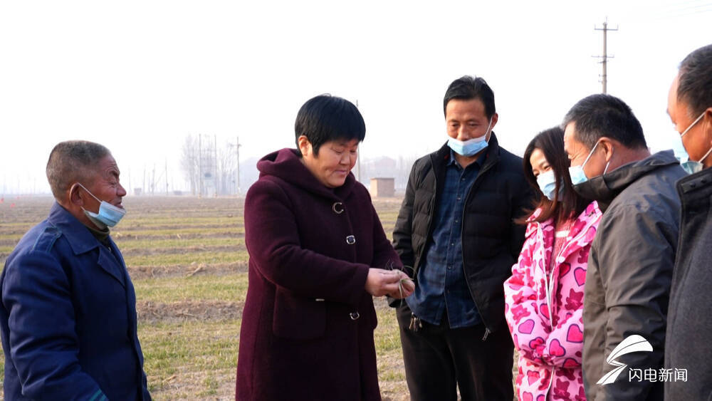 平原新农人刘金岭:开办现代农场带领村民增收致富 获评"齐鲁乡村之星"