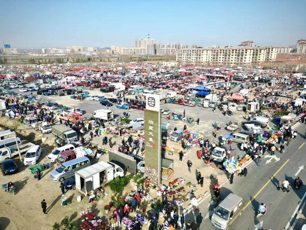 除了羊汤和烩饼,好吃的泊里大集这对小兄妹也"出圈"了!_腾讯新闻