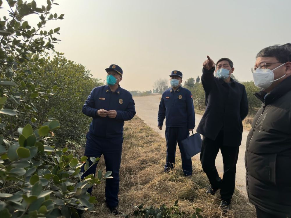 跨省驻防丨内蒙古森林消防总队驻皖队伍配合有关部门扎实开展森林防