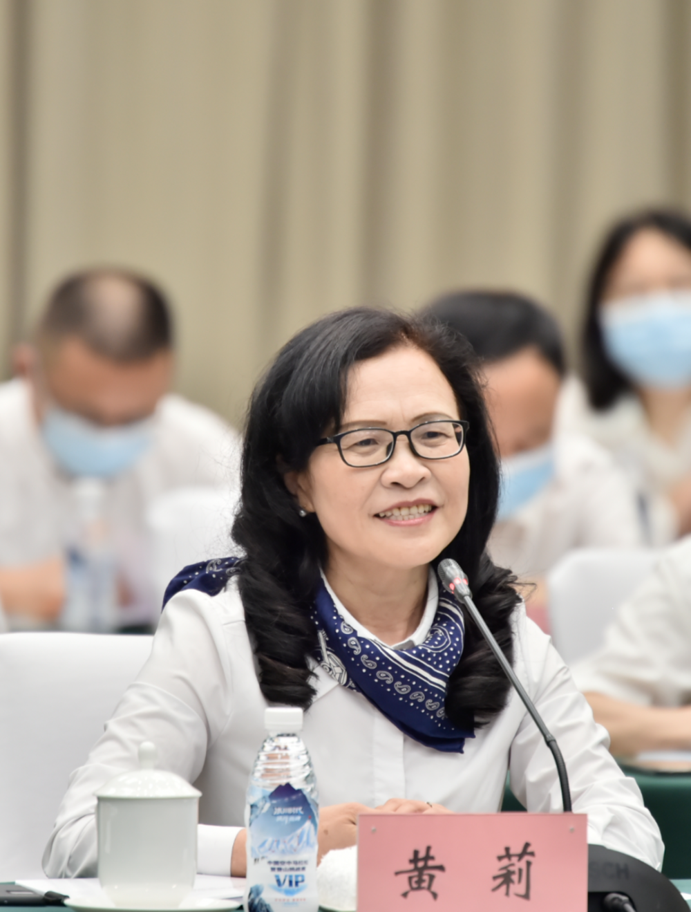 四川省政协委员黄莉深化南向开放合作加快打造改革开放新高地代表委员