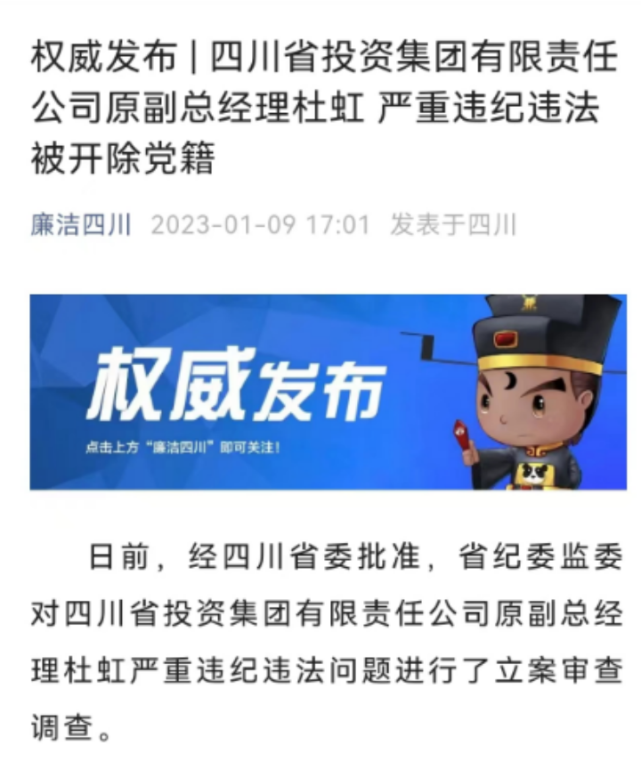 突发千亿国资美女高管被开除党籍