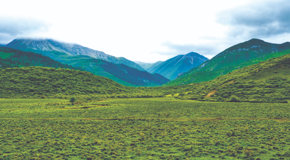 四川省阿坝藏族羌族自治州松潘县,是红军长征爬雪山,过草地的发生地