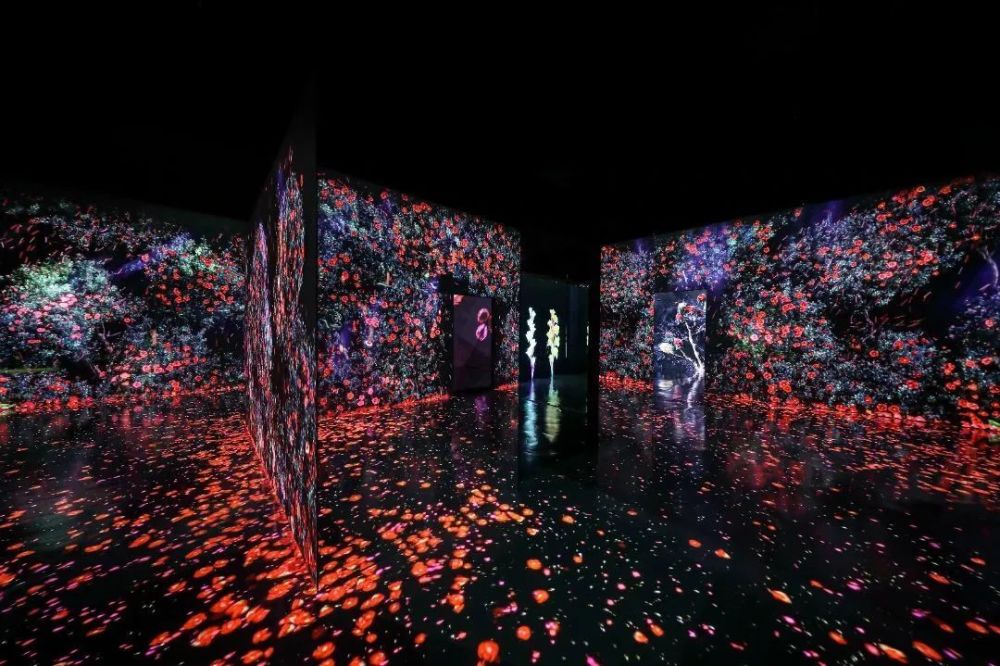 全球知名沉浸式数字艺术美术馆即将震撼呈现_腾讯新闻