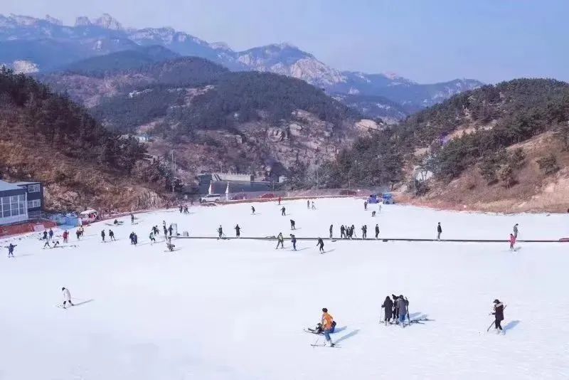 "冰雪奇缘"崂山北宅高山滑雪场欢动季,带你戏雪迎新年,目前开设单板