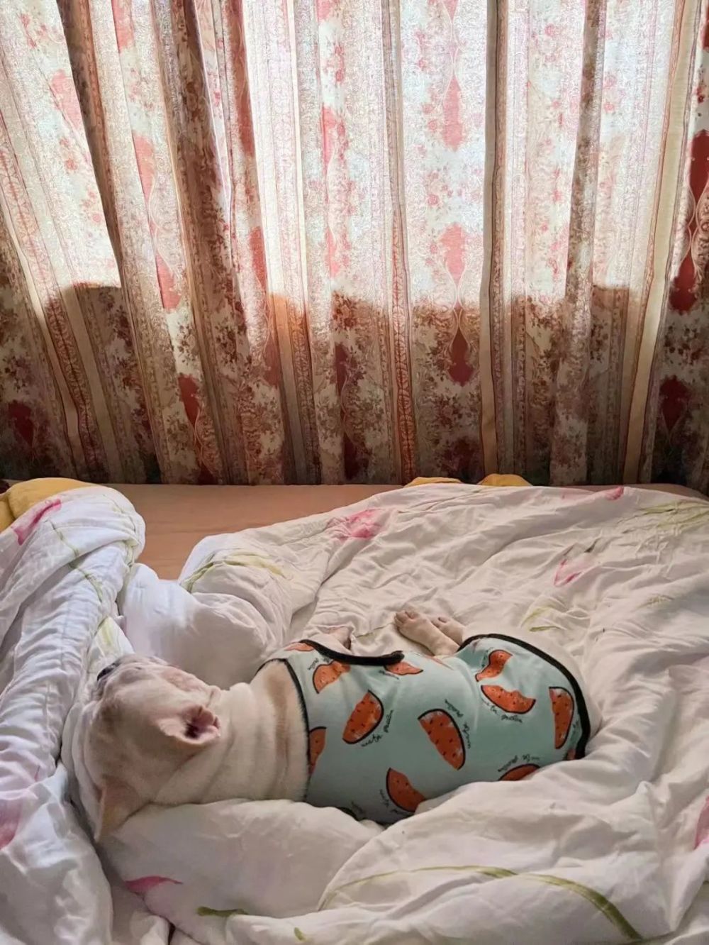 时间不过是幻觉,必要的是______腾讯新闻