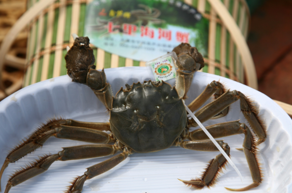 作为国家地理产品标志的七里海香蟹是宁河传统三宝之一,更是天津