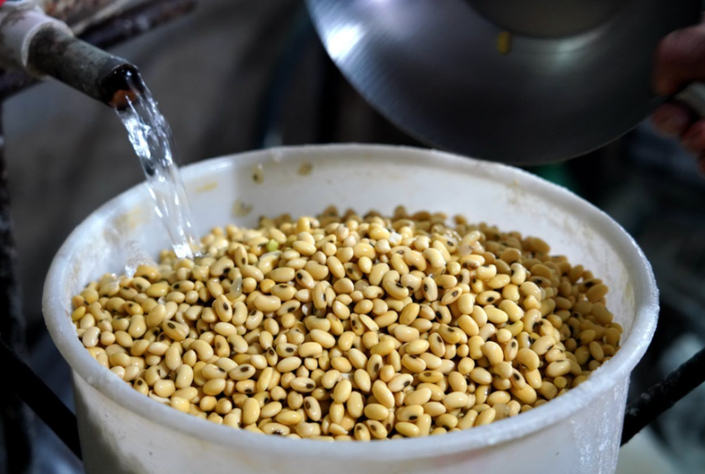 大河镇南落凌村村民 张书玲大河镇南落凌村村民 武玉群进村不远,就