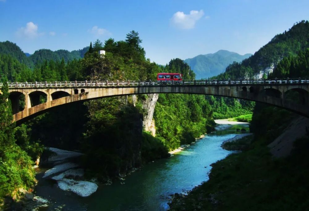深入学习贯彻党的二十大精神一把手访谈青杠塘镇党委书记戴建强抢抓