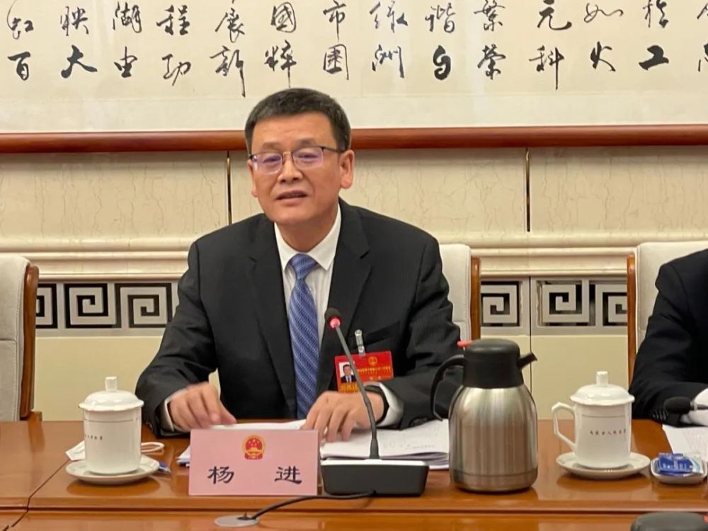 74自治区人大代表杨进:它是一个牢记嘱托,感恩奋进的好报告,是一个