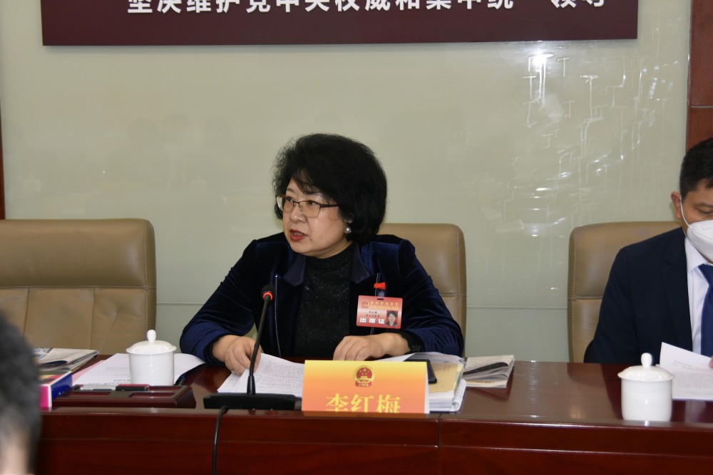 园山街道党工委书记李红梅:坚持产业立街,盘活生态禀赋,补齐发展短板