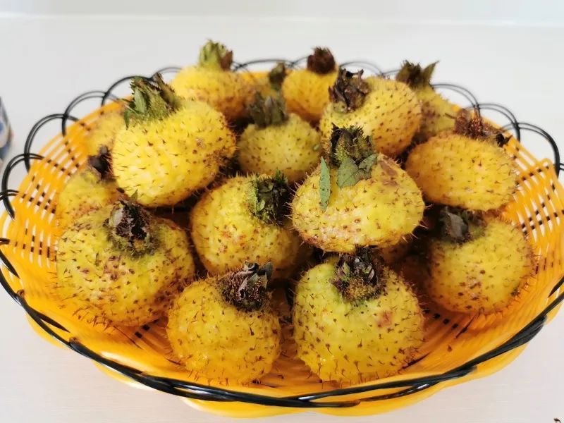 沐川特产又上央视今晚1900请锁定cctv2生财有道