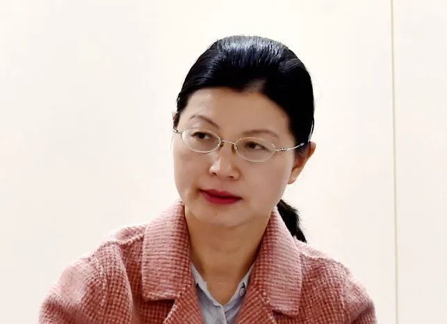 两会上的合肥好声音省人大代表张文艳