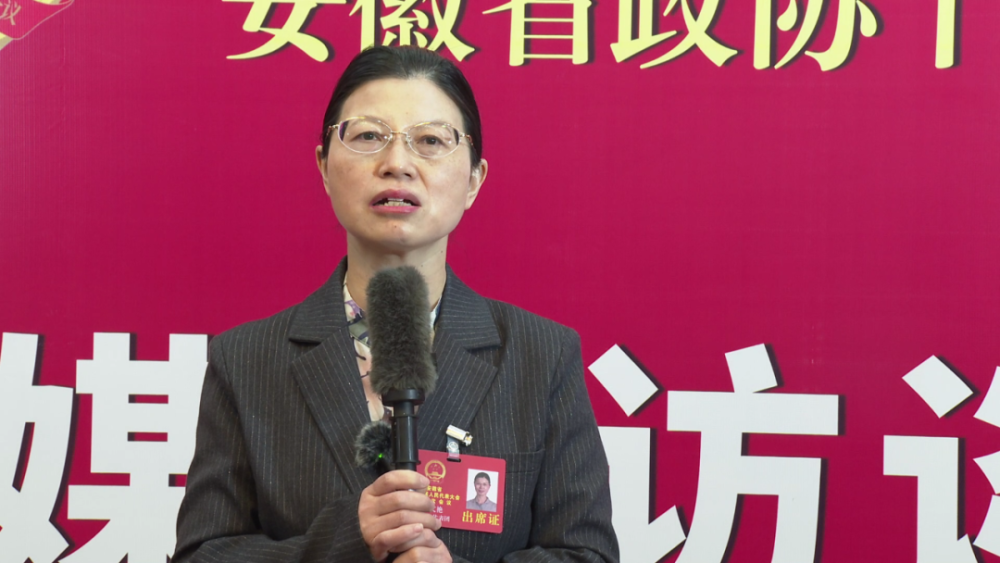 两会上的合肥好声音省人大代表张文艳