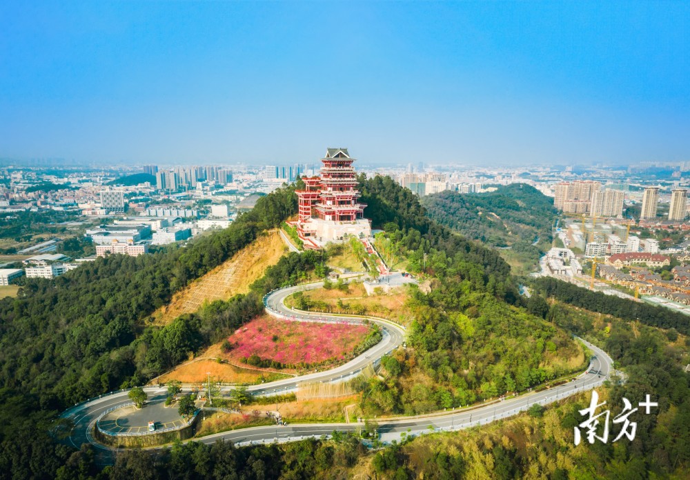 南海两会评论里水展旗峰下再展旗