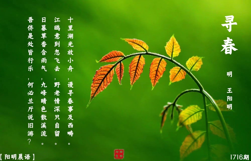 【阳明晨语】1716期 寻春_腾讯新闻