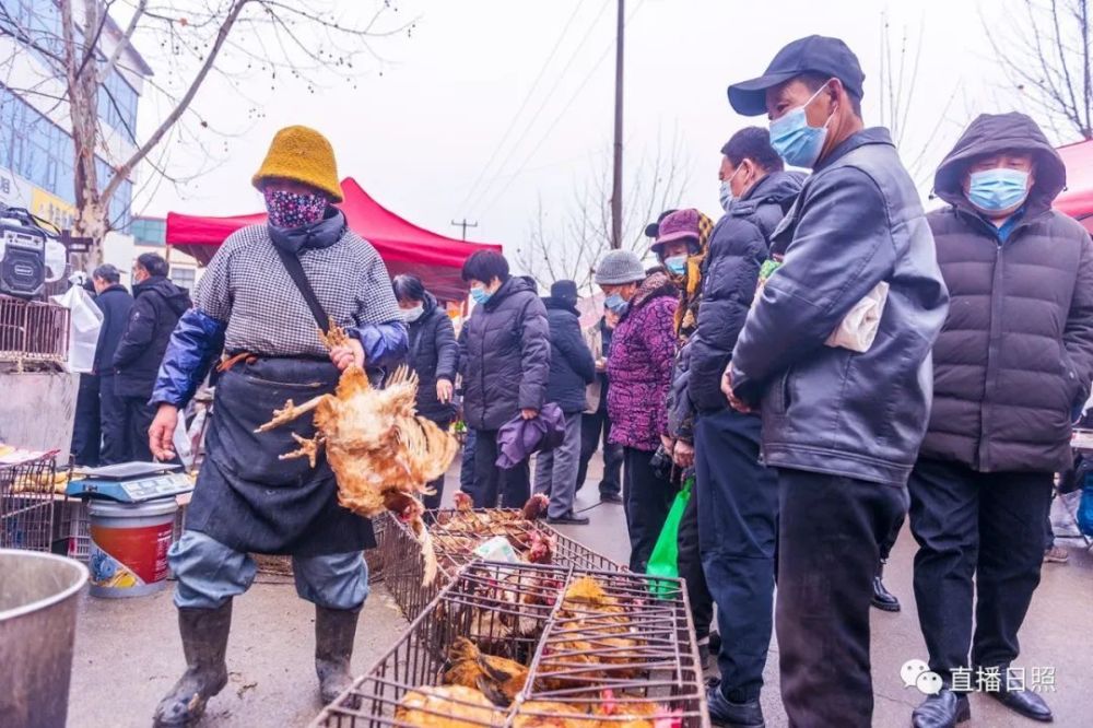 日照这个大集定会让你大饱眼福