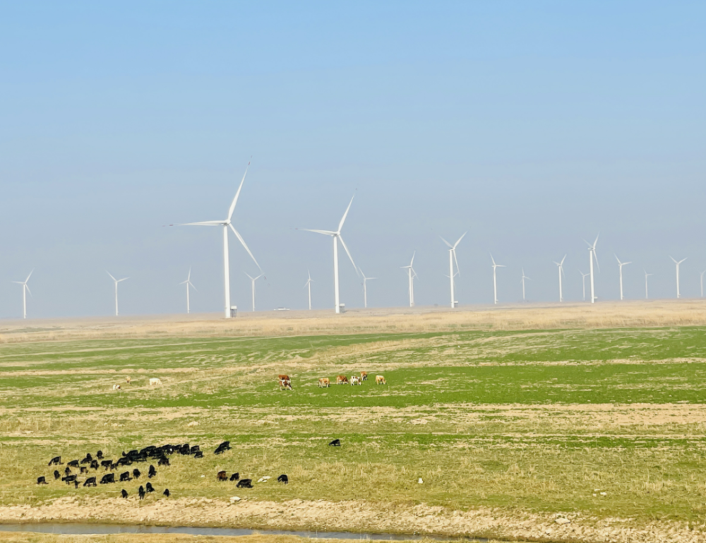 冬季旅游来漉湖