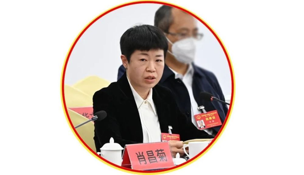 省人大代表,麻栗坡县代理县长肖昌菊说,麻栗坡天保口岸作为国家级国际