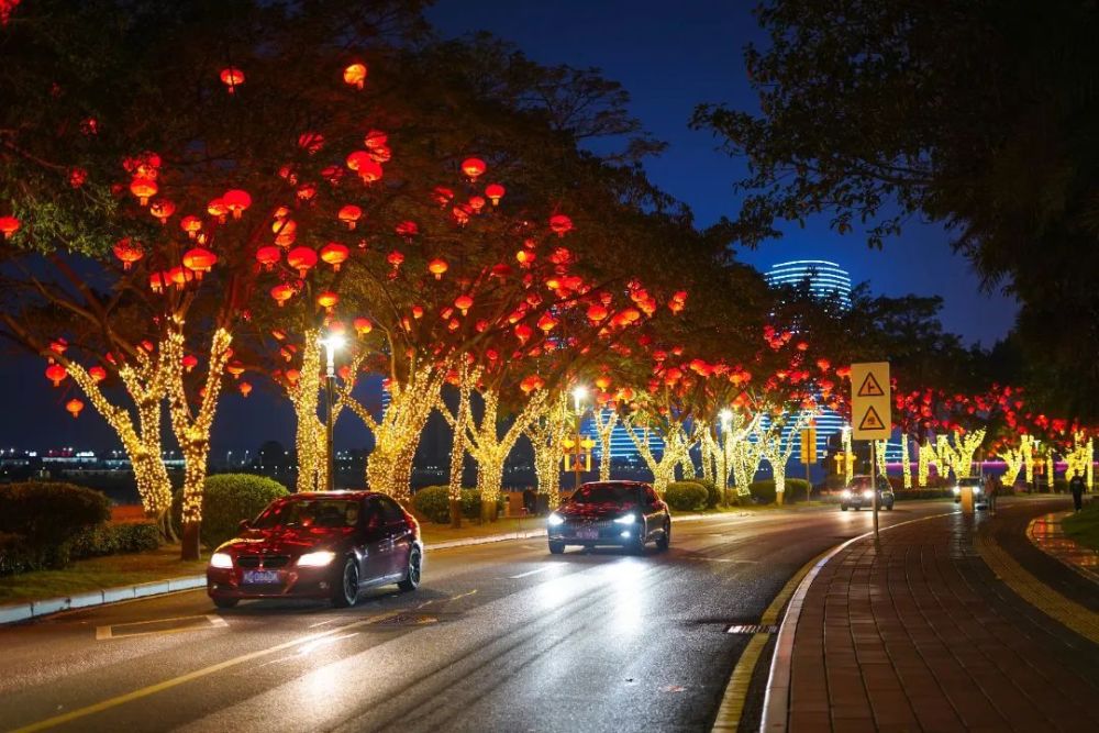 马路花坛夜景图片