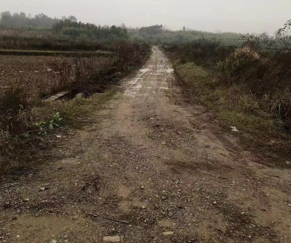 他们破难题解障碍村里的泥水路换成了水泥路