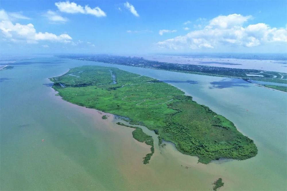 上海青草沙水库荣获人民治水百年功绩治水工程